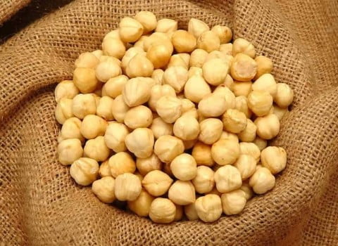 قیمت خرید نخود طلایی با فروش عمده